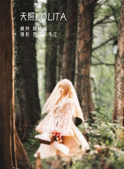 《朱元璋》电视剧_剧情片BD在线观看